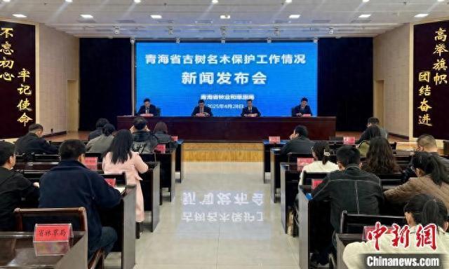 古树名木1332株开元棋牌青海：现存(图1)